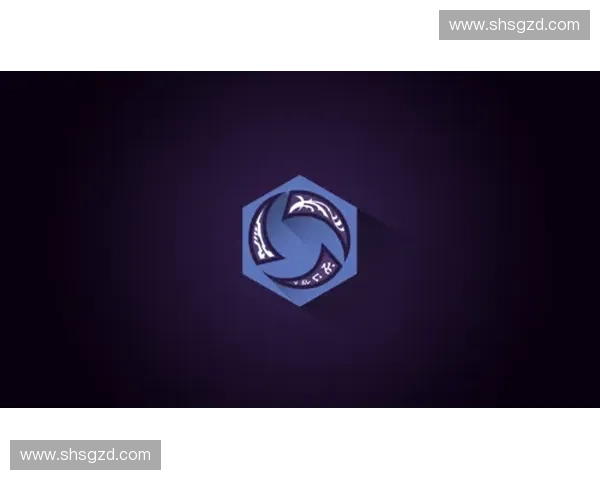 围绕风暴英雄装不了问题探讨全面解决方案思路解析的实用指南分享